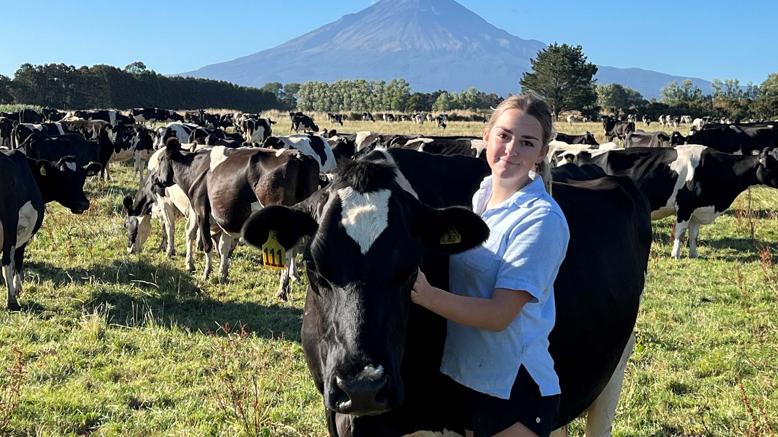HFNZ Scholarship