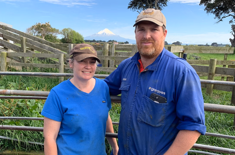 Holstein Friesian breeders reap benefits of TOP inspections