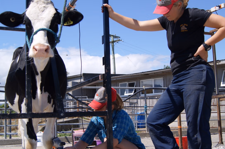 Taranaki to host National All Dairy Breeds Youth Camp