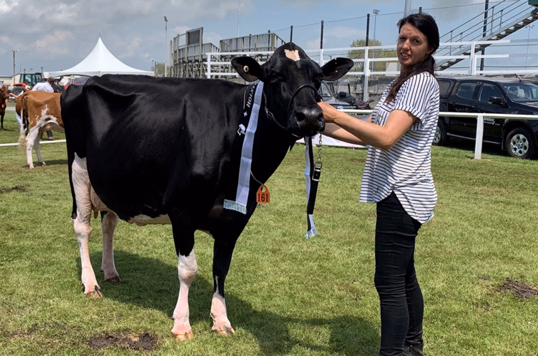 Makuri Gold Amber-ET EX2 and Joanne Dorn in the show ring at the Stratford Show