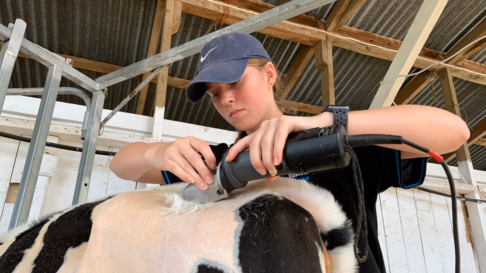 University study on hold for young breeder during lockdown