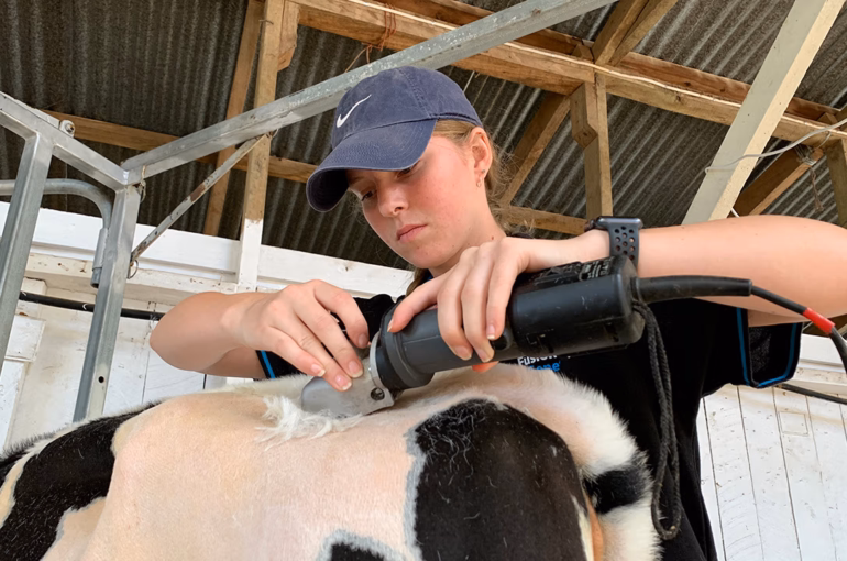 University study on hold for young breeder during lockdown