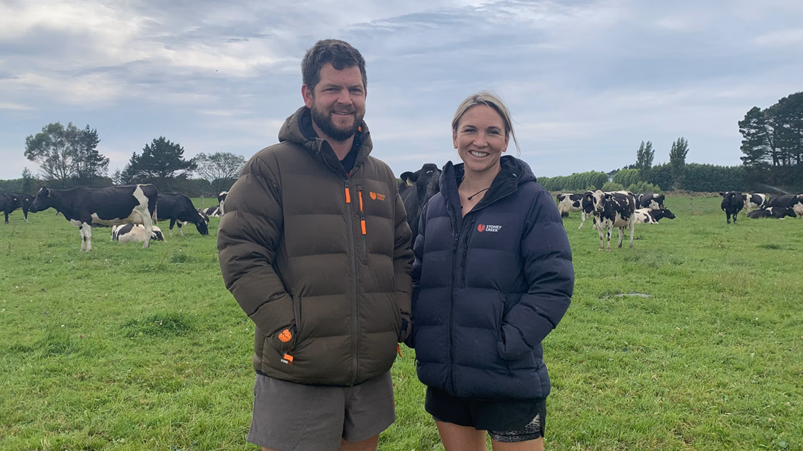 Zero boddy calves