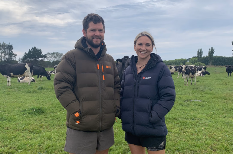 Zero boddy calves