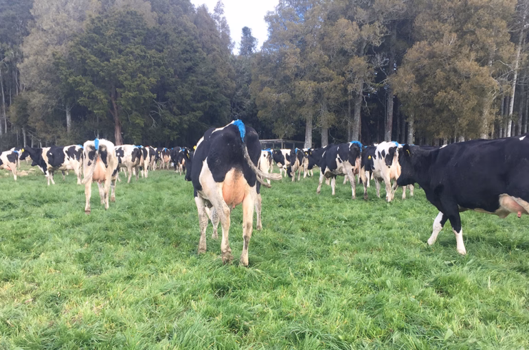 Common sense farming