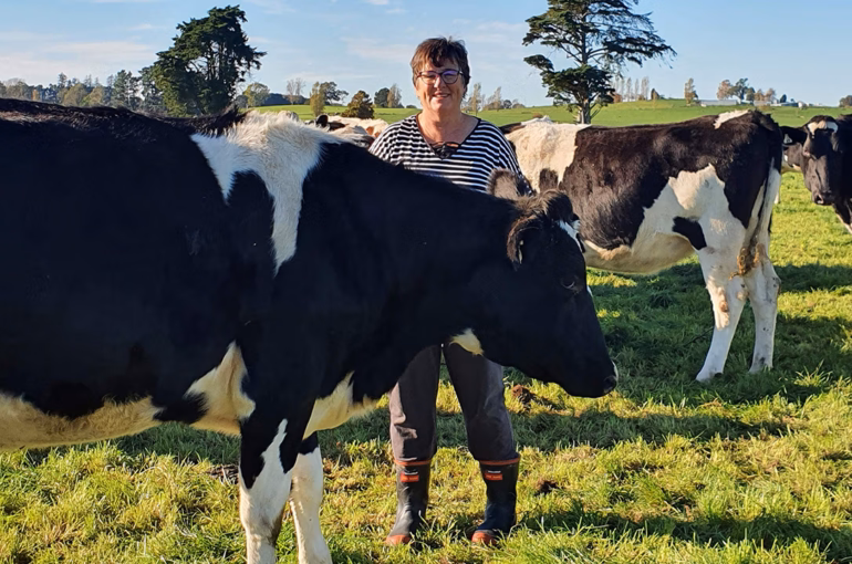 Holstein Friesian the breed of choice for all-round excellence