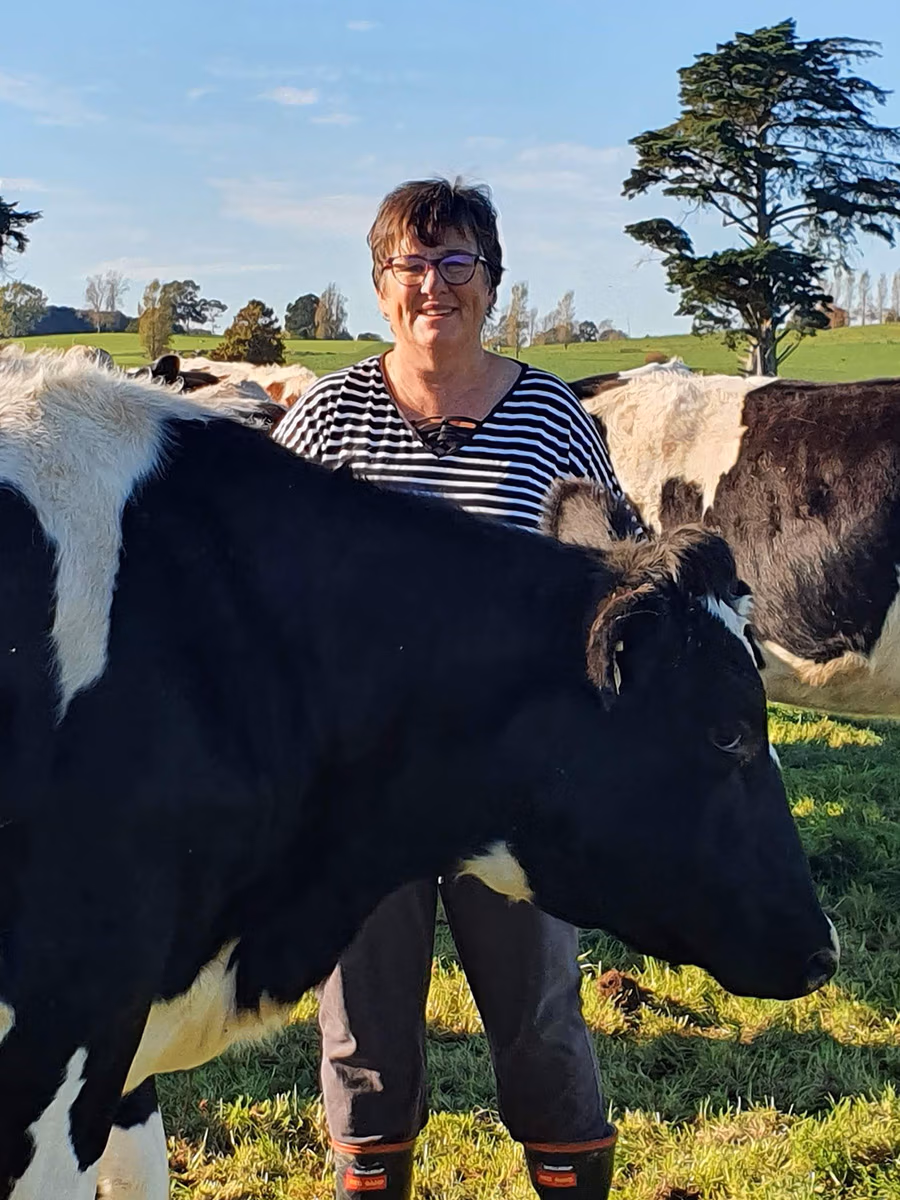 Wendy Harker, Westell Holstein Friesians