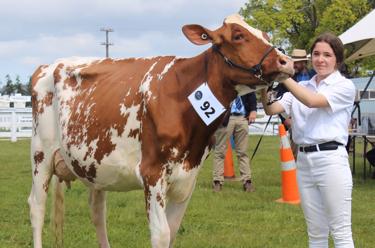 Holstein Friesian NZ Black & White Youth builds foundation for future breeders