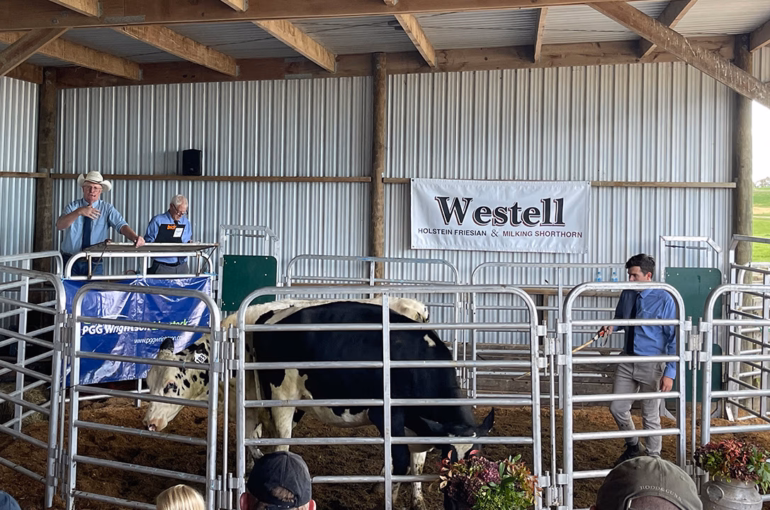 Fond farewell to breeders as Holstein Friesian sale season draws to a close