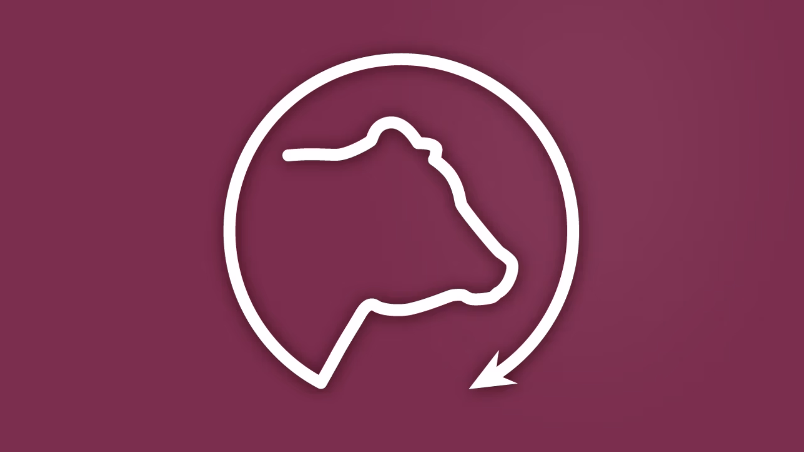 Bull Update Feature Image