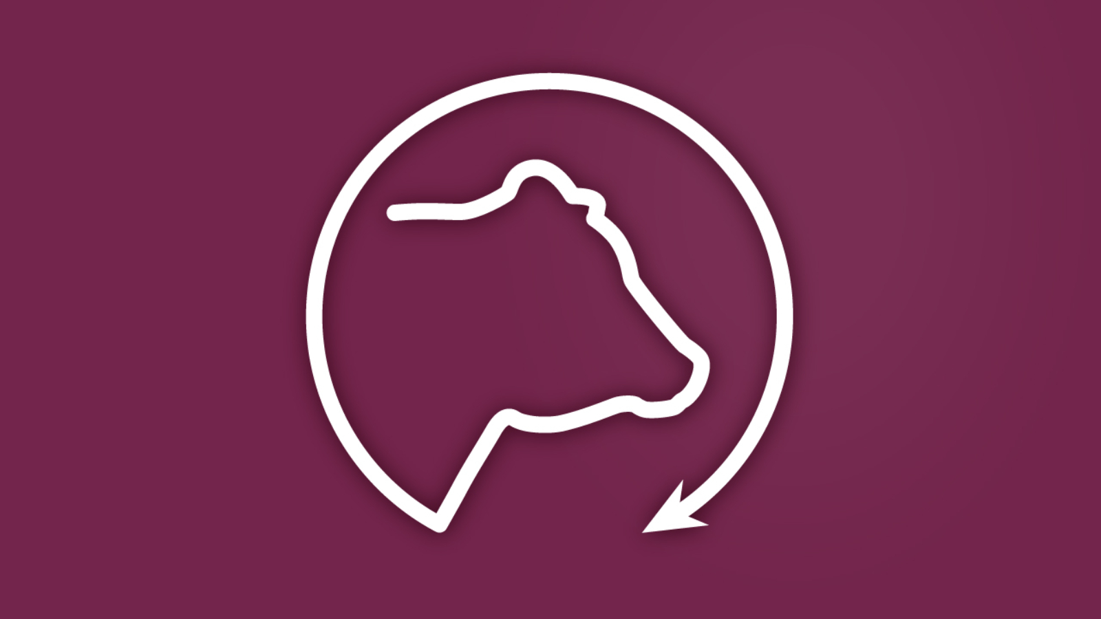 Bull Update Feature Image