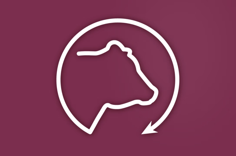 Bull Update Feature Image