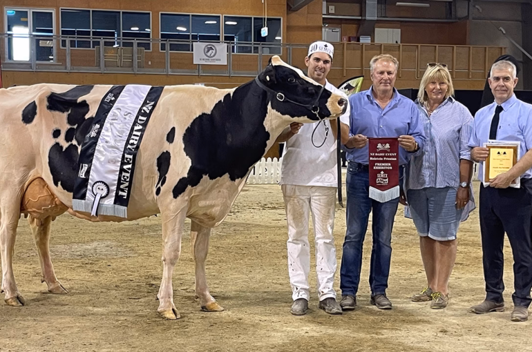 2023 Holstein Friesian Supreme Champion Waipiri Mogul Kristy