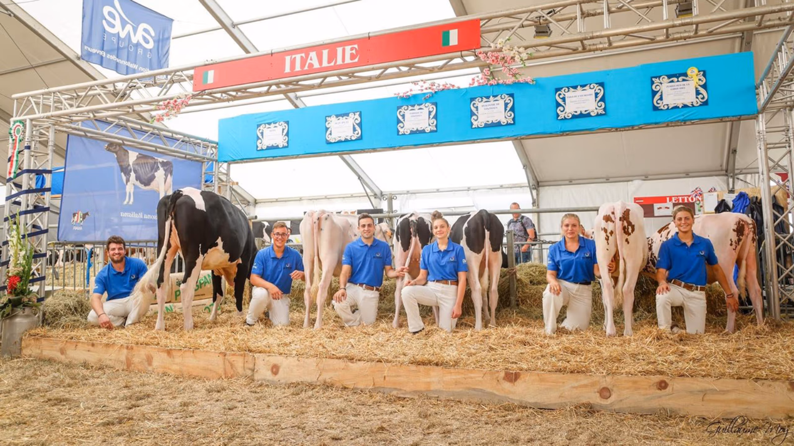 Dairy industry’s brightest youth Belgium-bound for Young Breeders School