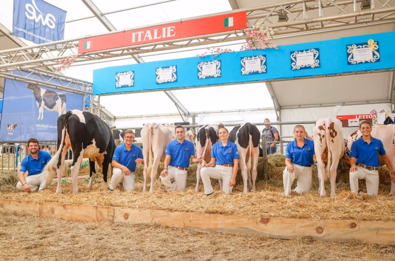 Dairy industry’s brightest youth Belgium-bound for Young Breeders School