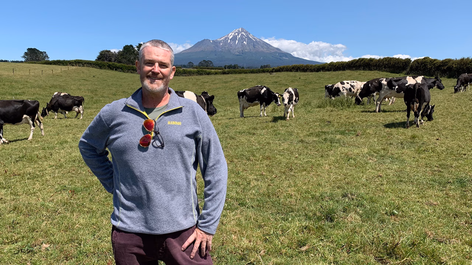 End of an era for Taranaki Holstein Friesian stud