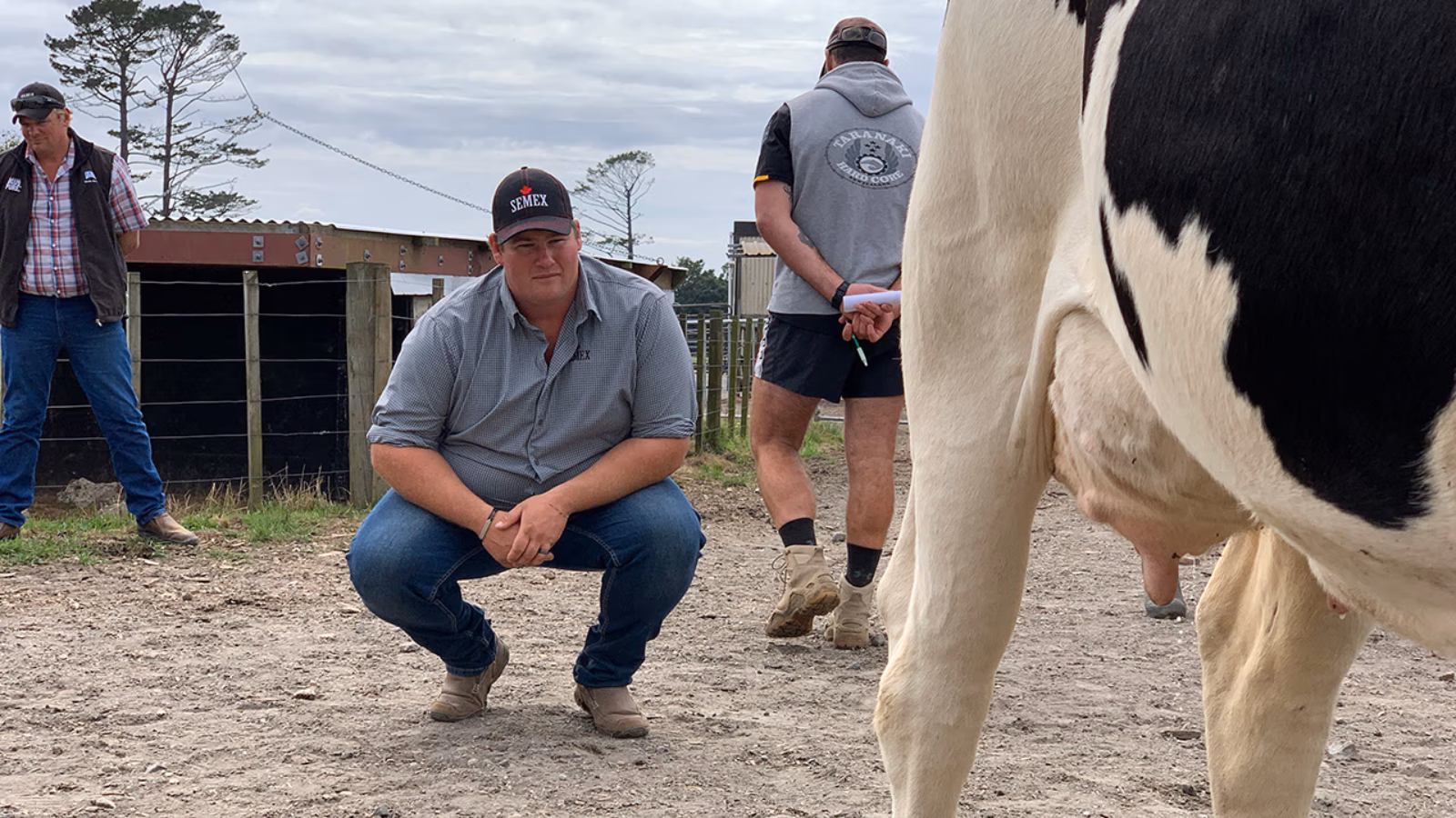 Training an eye for detail at HFNZ judging school