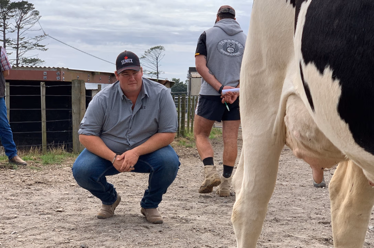 Training an eye for detail at HFNZ judging school