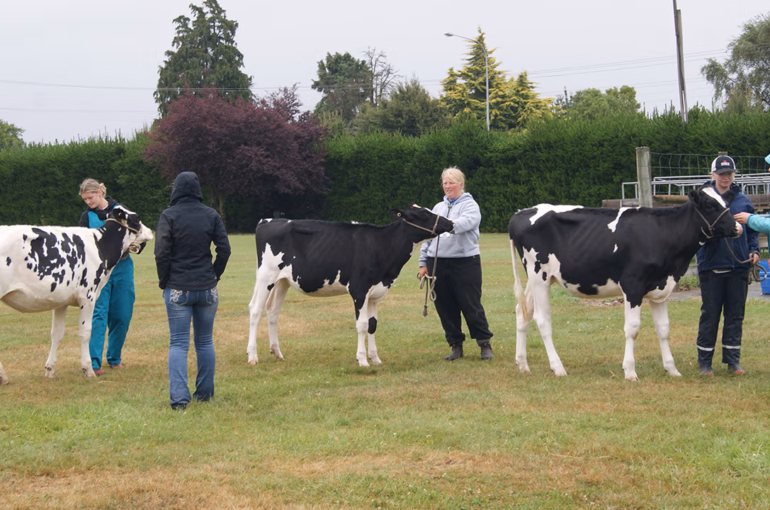 Showmanship and Handling Events for Young Breeders!