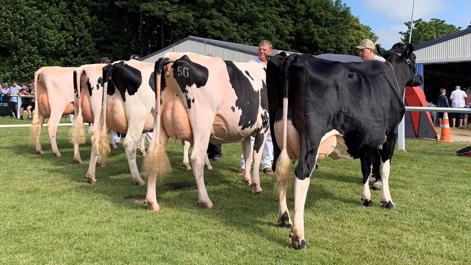 The Royal Agricultural & Pastoral Show of New Zealand is heading to Stratford!