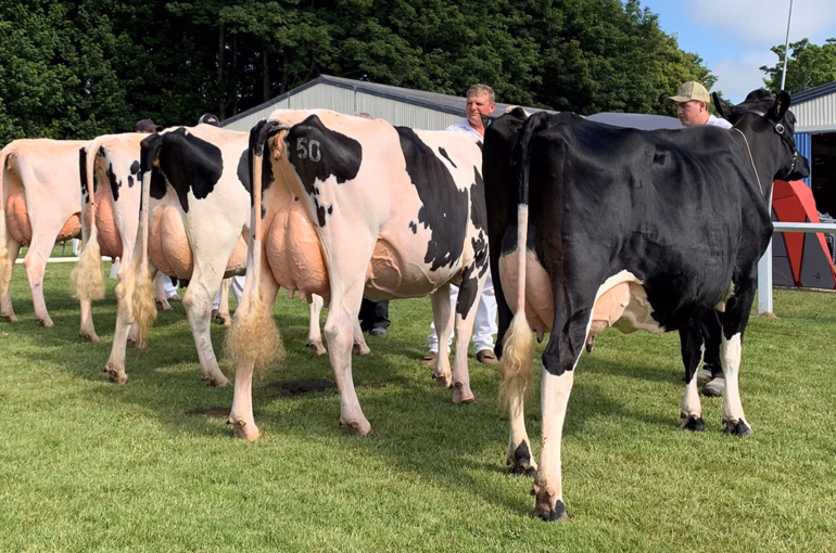 The Royal Agricultural & Pastoral Show of New Zealand is heading to Stratford!