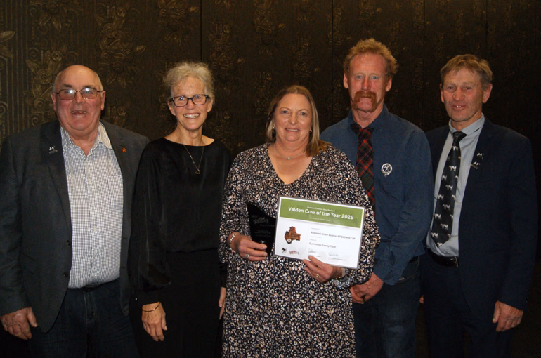 Select Top Holstein Friesian talent honoured ar 2025 HFNZ awards