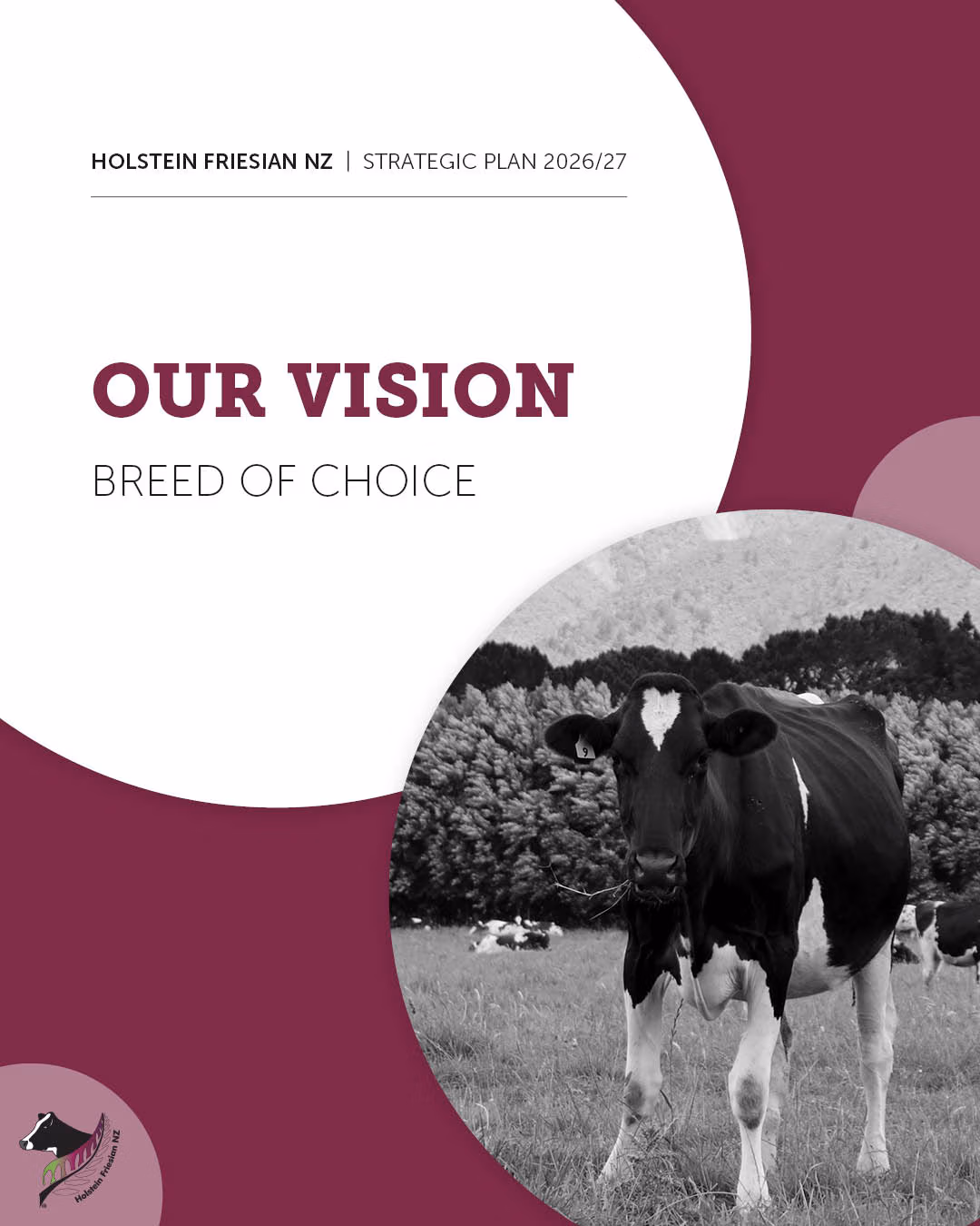 2026-27 Strategic Plan 1.1 - Our Vision Full