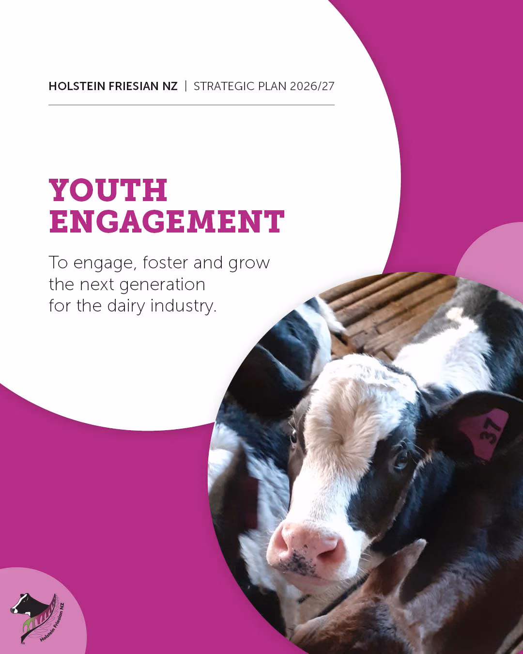 2026-27 Strategic Plan 2.4 - Youth Engagement Full
