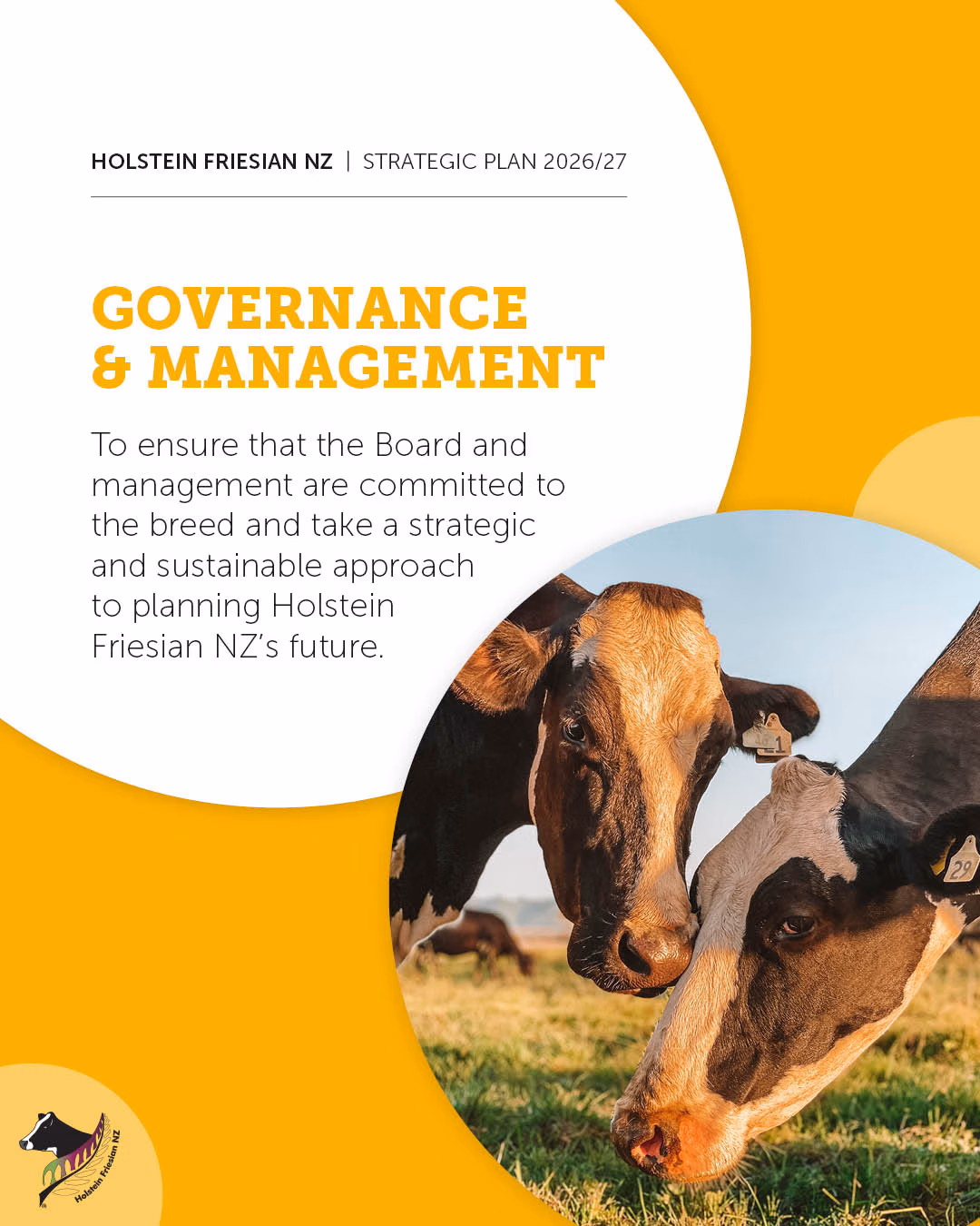 2026-27 Strategic Plan 2.6 - Governance & Management Full