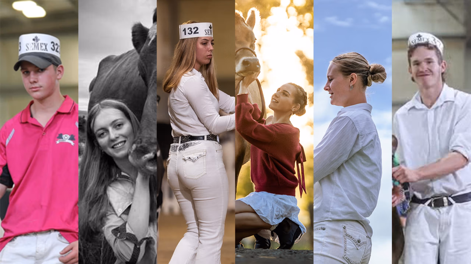 Young Breeders Belgium-Bound
