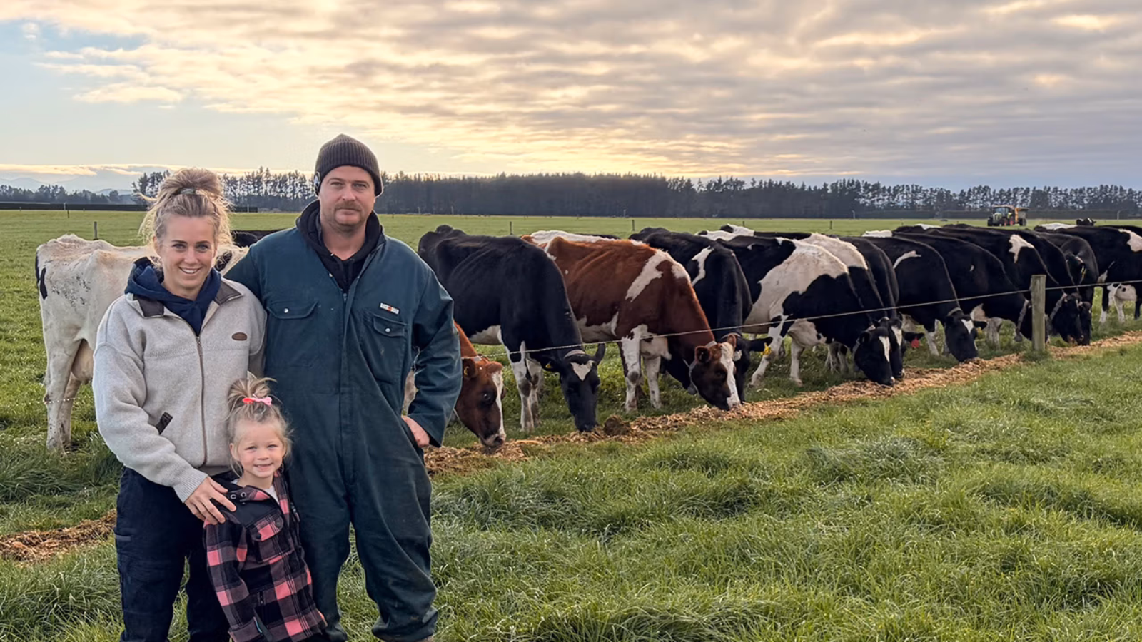 Data-driven dairy success