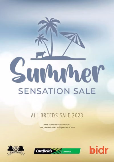 2023 NZDE Summer Sensation Sale COVER