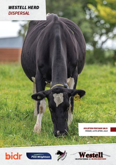 2023 Westell Herd Dispersal - Holstein Friesians COVER