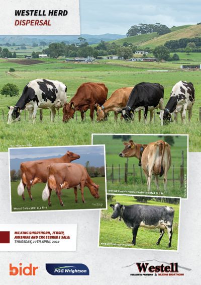 2023 Westell Herd Dispersal - Other Breeds COVER