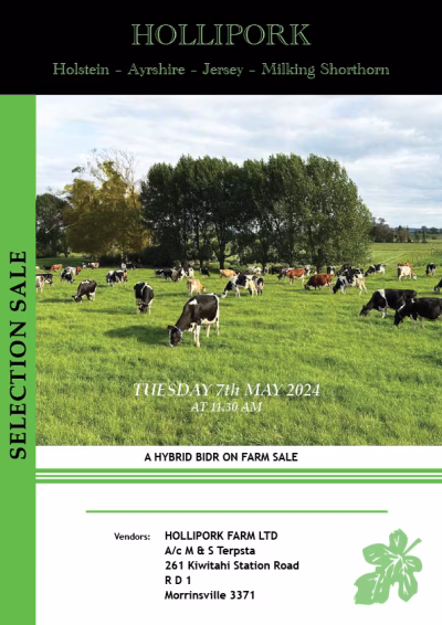 2024 Hollipork Sale
