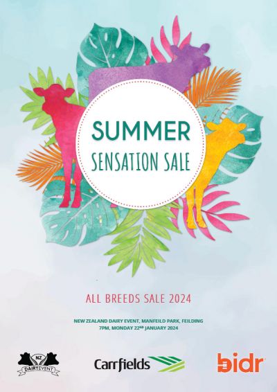 2024 NZDE Summer Sensation Sale COVER