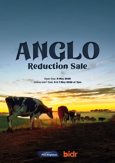 Anglo Reduction Sale COVER