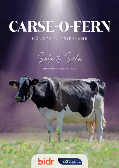 Carse-O-Fern Holstein Friesian Select Sale 2025 COVER