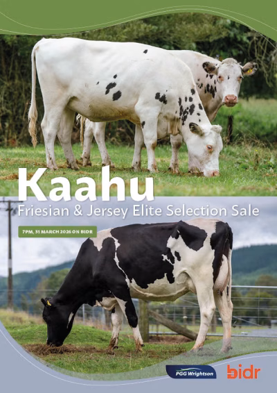 Kaahu Friesian & Jersey Elite Selection Sale 2026 COVER