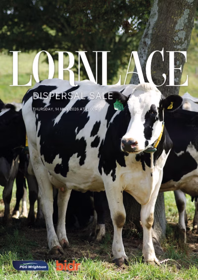 Lornlace Dispersal Catalogue COVER