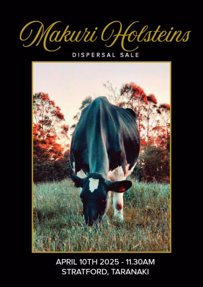 Makuri Holstein Dispersal Sale 2025 COVER
