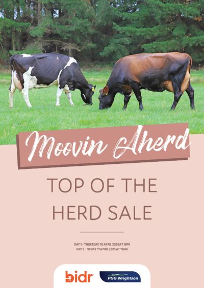 Moovin Aherd Top of the Herd Sale 2025 COVER
