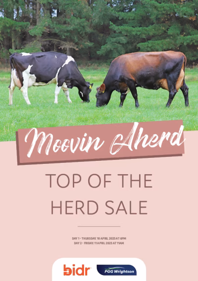 Moovin Aherd Top of the Herd Sale 2025 COVER