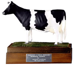 Sherriff Memorial Trophy