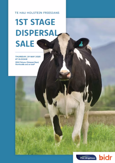 Te Hau Holstein Friesians 1st Stage Dipersal Sale 2025 COVER