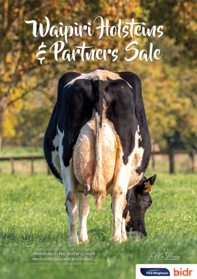Waipiri Holsteins & Partners Sale 2025 COVER