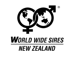 wws-logo