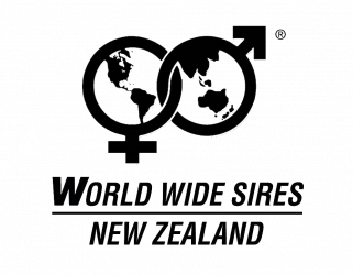 wws-logo