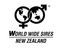 wws-logo