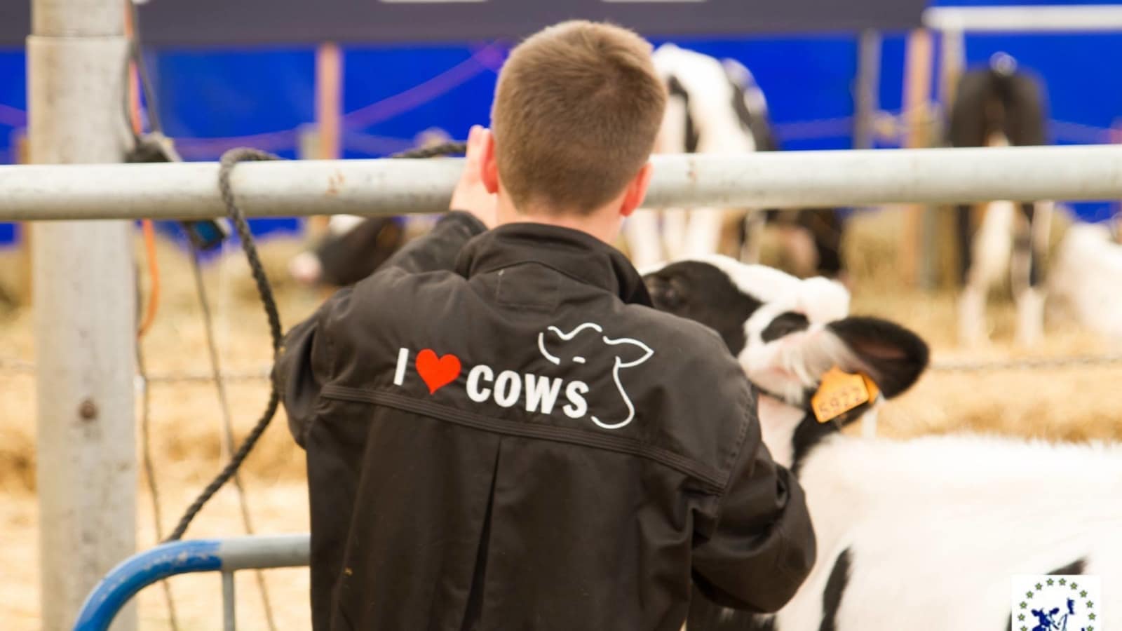 A team of five will represent New Zealand in Belgium.
